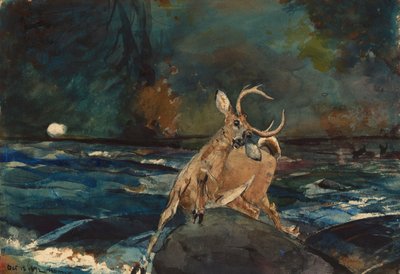 A Good Shot, Adirondacks by Winslow Homer